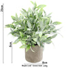 A potted plant featuring green dusty leaves in a rustic gray pot.