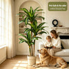A golden retriever rests beside an artificial Dracaena tree in a bright living room setting.