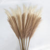 Dried artificial pampas grass branches in beige and tan tones used for boho home and wedding decor