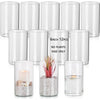 Collection de vases cylindriques en verre transparent et une bougie dans un vase en verre avec des plantes décoratives.