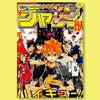 A vibrant anime poster featuring characters from Haikyuu series with bold typography and dynamic artwork.
