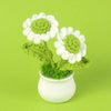 Hand woven crochet daisy flowers in white and green potted in a white ceramic cup