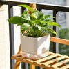 A potted green plant sits in a white self-watering planter on a wooden balcony railing.