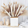 Bouquet de queues de lapin séchées de pampas, avec des herbes plumeuses dans des tons beige et marron