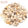 Natural Sea Snail Shell Beads for DIY Jewelry Making