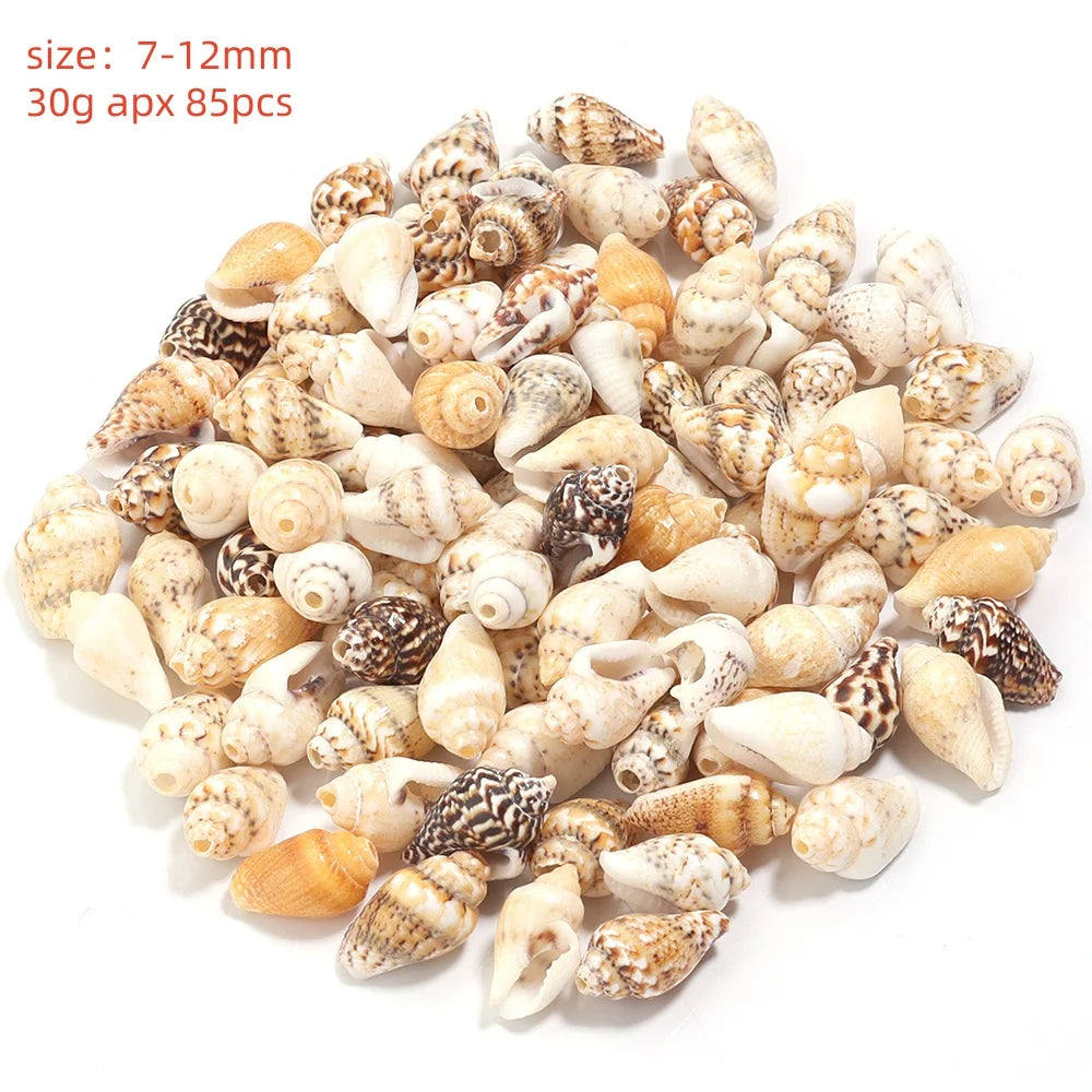 Natural Sea Snail Shell Beads for DIY Jewelry Making