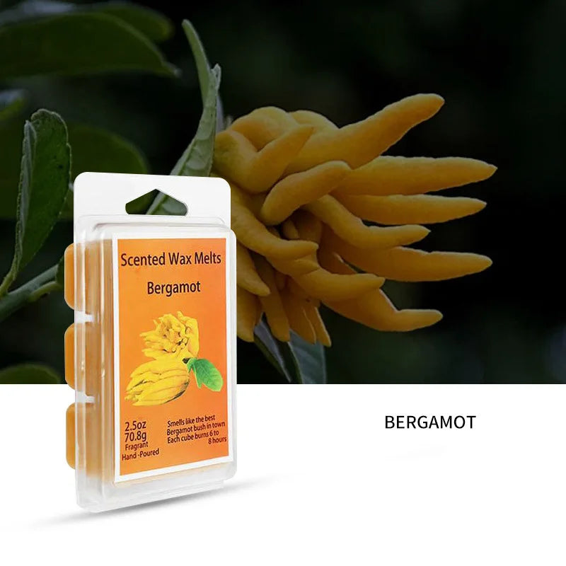 A hand-poured soy wax bergamot candle gift set featuring yellow wax melts and a fresh bergamot flower.