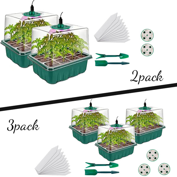 A set of seed germination trays and grow lights for growing plants.