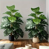 A pair of realistic artificial monstera palm trees in various shades of green displayed on a wooden surface.