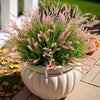 A potted artificial lavender plant with pink flowers in a white ceramic pot