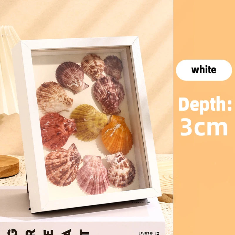 A white shadow box frame displaying various seashells and natural elements.