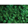 A dense, vibrant green tropical jungle leaf photography backdrop for parties and studio shoots.