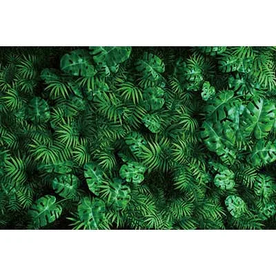 A dense, vibrant green tropical jungle leaf photography backdrop for parties and studio shoots.