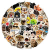 A collection of funny cat meme cartoon decals arranged in a circular pattern.