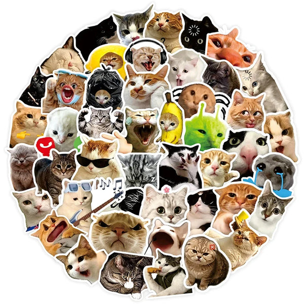 Una colección de pegatinas de memes de gatos divertidos dispuestas en un patrón circular.