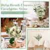 A collection of 30 mixed artificial eucalyptus and baby's breath floral stems displayed in various arrangements.