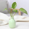 Handcrafted Ceramic Mini Vase for Desk & Tabletop Decor