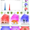 A diagram showing the spectrum of full spectrum grow light and its effect on plant growth stages from seeding to fruiting.