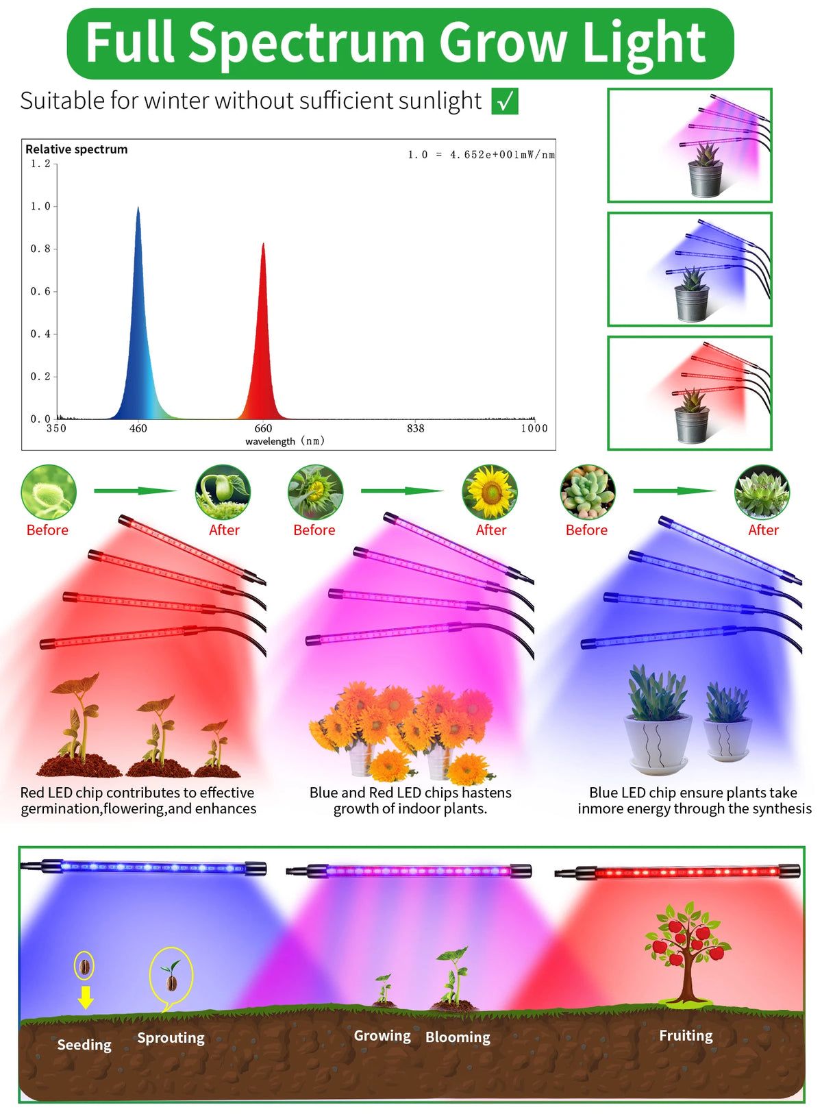 A diagram showing the spectrum of full spectrum grow light and its effect on plant growth stages from seeding to fruiting.