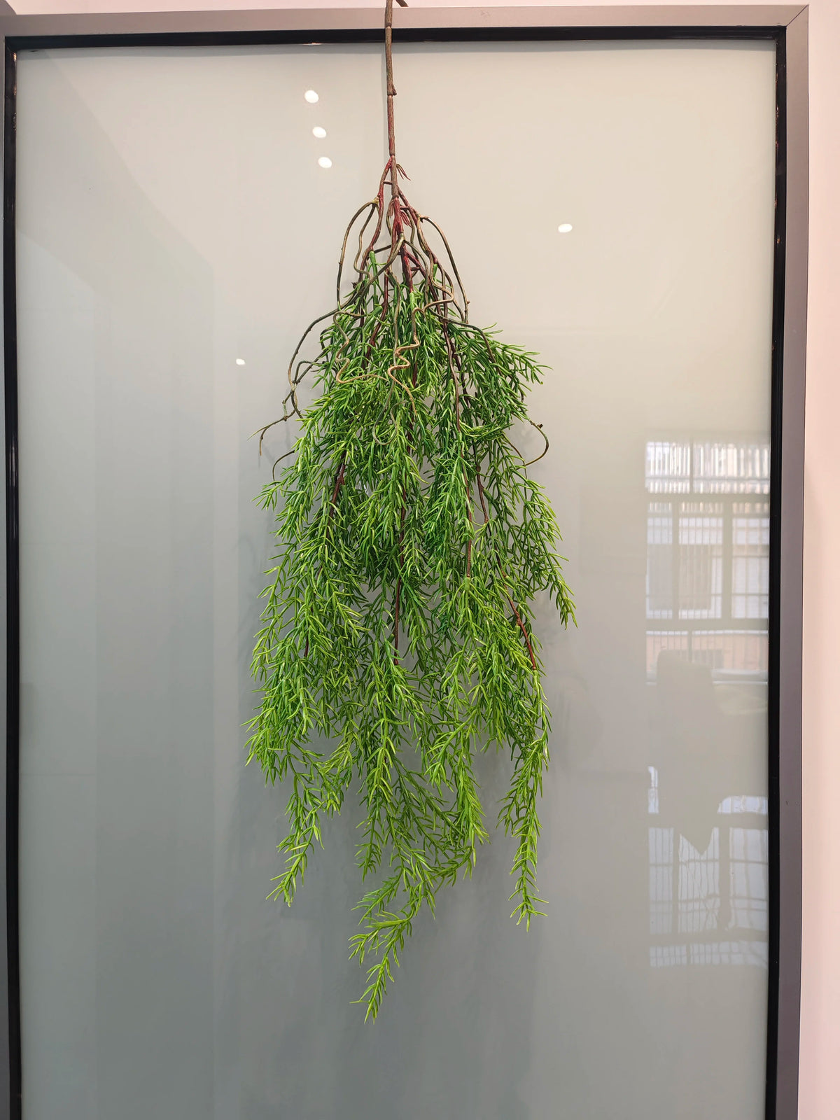 Artificial hanging ivy vine with reddish roots displayed in a glass frame.