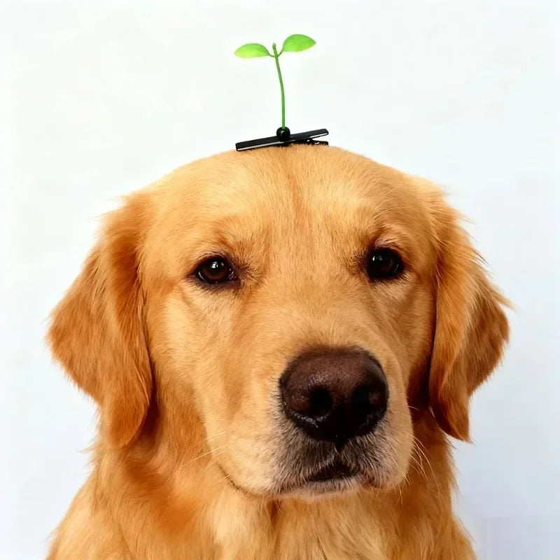 A golden retriever dog with a small green sprout on its head, resembling hair clips.