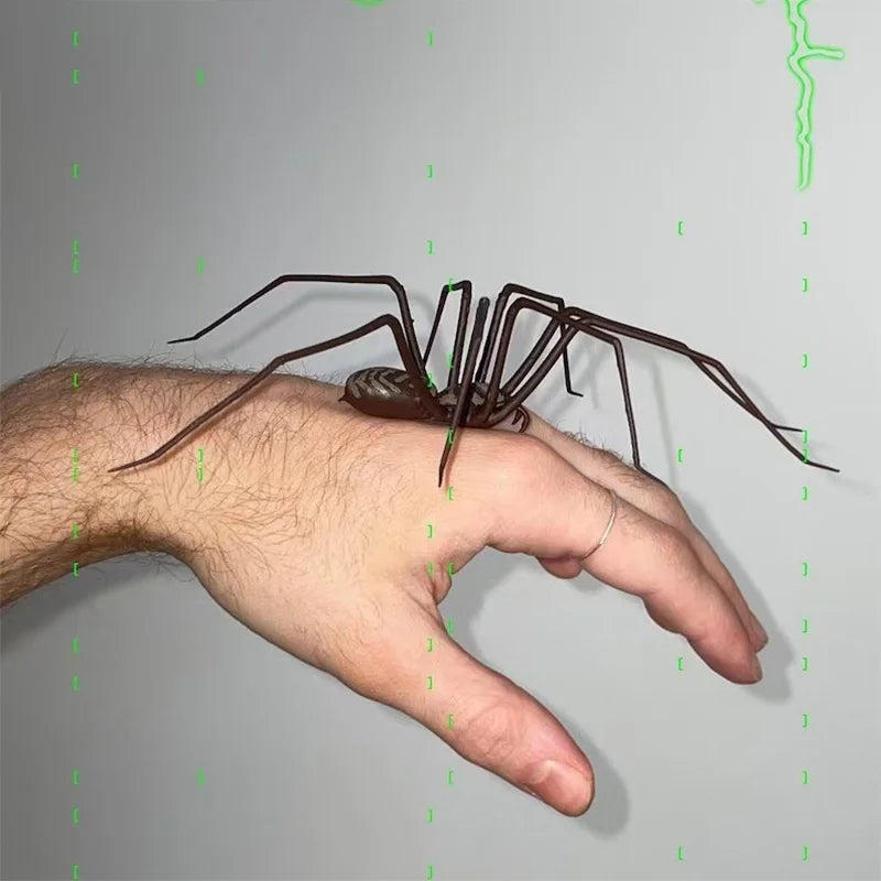 A brown spider is positioned on a person's hand against a gray background.