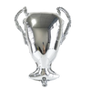 Silver metallic trophy shaped like a soccer ball, displayed against a black background.