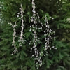 Five clear crystal acrylic pendant ornaments hanging from a green fir tree branch.