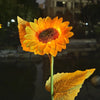 A bright orange sunflower flower with a dark center is shown against a dark background.