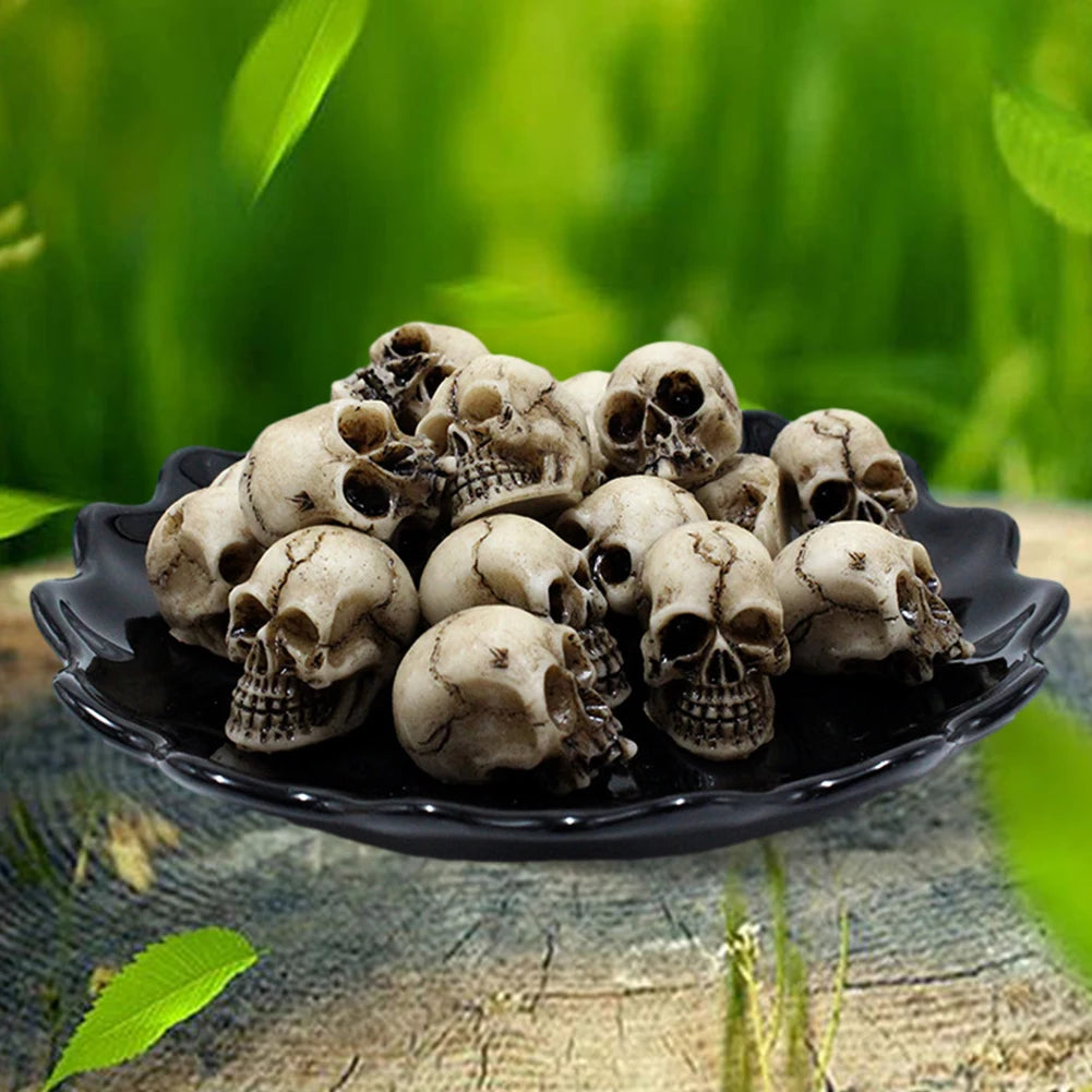 A set of realistic skull figurines displayed on a dark plate against a blurred green background.
