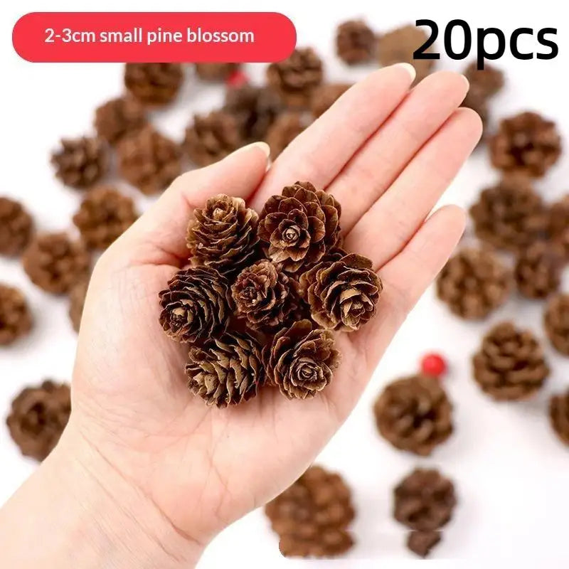 A hand holds a cluster of 2-3cm small pine blossoms or dried pine cones for crafting and decoration.