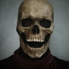 A realistic latex skull cosplay mask displayed against a gray background.