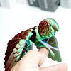 A hand holds an articulated 3D printed parrot figurine with movable wings, featuring green and reddish-brown plumage.