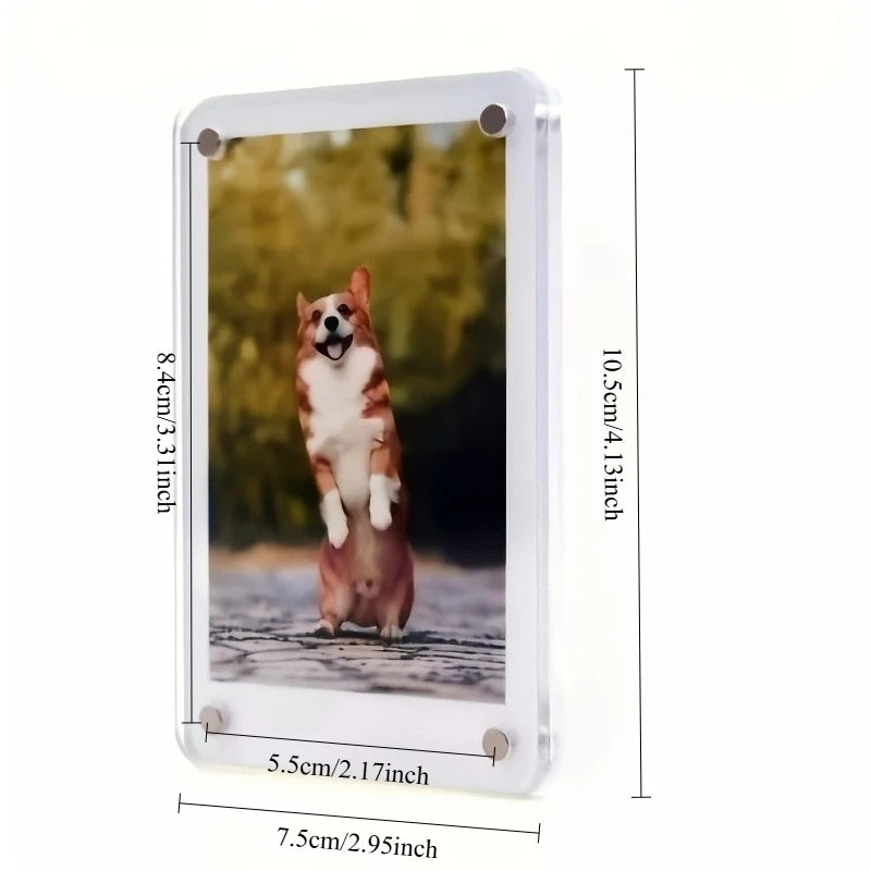 A rectangular magnetic acrylic picture frame displaying a dog standing in a natural outdoor setting.