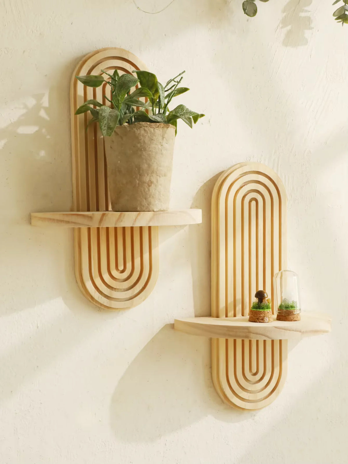 Geometric wooden wall shelves displaying a potted plant and a glass terrarium.