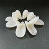 A set of realistic white vampire fangs with adjustable fit displayed on a dark surface.