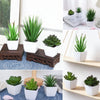 A collection of green simulated mini bonsai plants in white pots displayed on various surfaces.