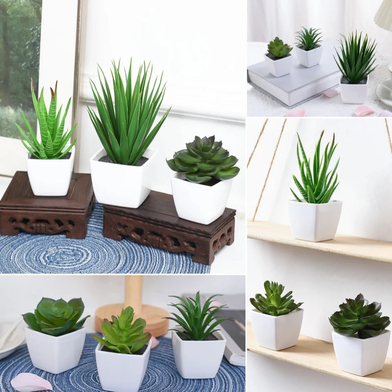 A collection of green simulated mini bonsai plants in white pots displayed on various surfaces.