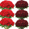 A collection of deep red and burgundy velvet artificial roses in bouquets for weddings and home décor.