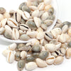 Natural Sea Snail Shell Beads for DIY Jewelry Making