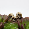 A set of realistic skull figurines growing on succulent plant leaves.