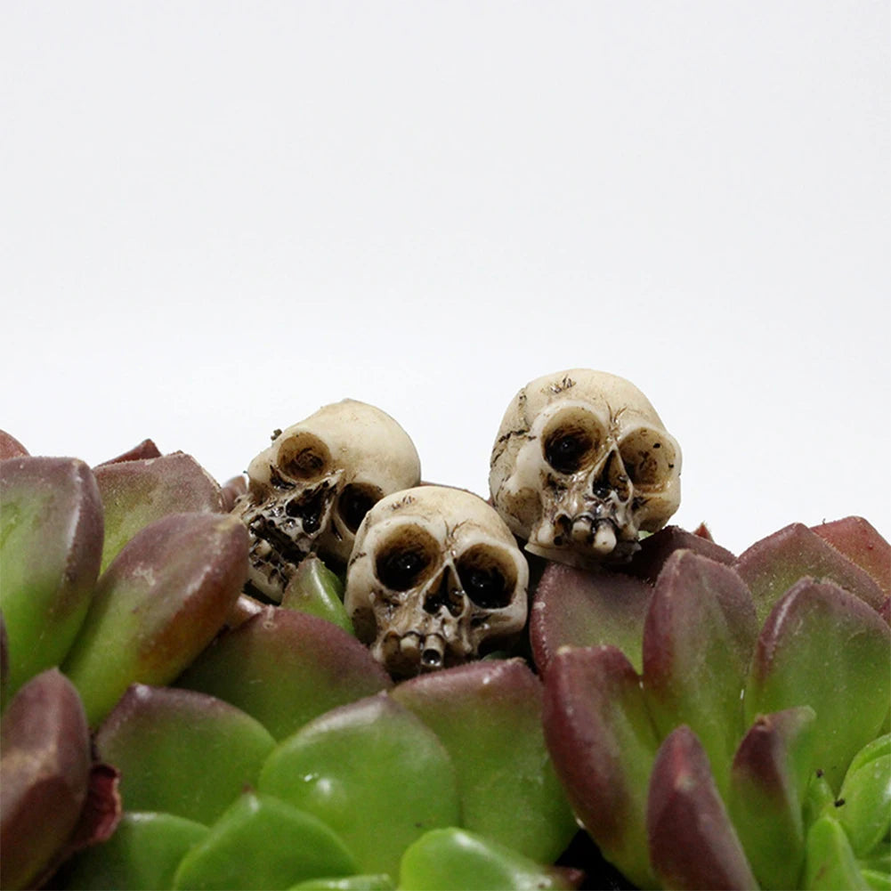 A set of realistic skull figurines growing on succulent plant leaves.