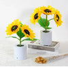 A bright yellow sunflower plant in a white pot with a black center, displayed on a white surface.