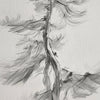 A charcoal sketch of a bare tree with fine branches against a light background.