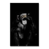 A black and white portrait of a monkey with intense eyes against a dark background.