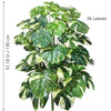 A lush artificial Monstera plant with variegated green and white silk leaves, measuring 51.18 inches tall.