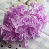 A vibrant purple dried hydrangea flower cluster on a white surface.