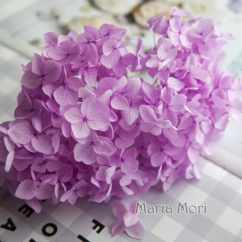 A vibrant purple dried hydrangea flower cluster on a white surface.