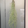 Artificial hanging ivy vine displayed vertically against a glass background with a measurement scale.