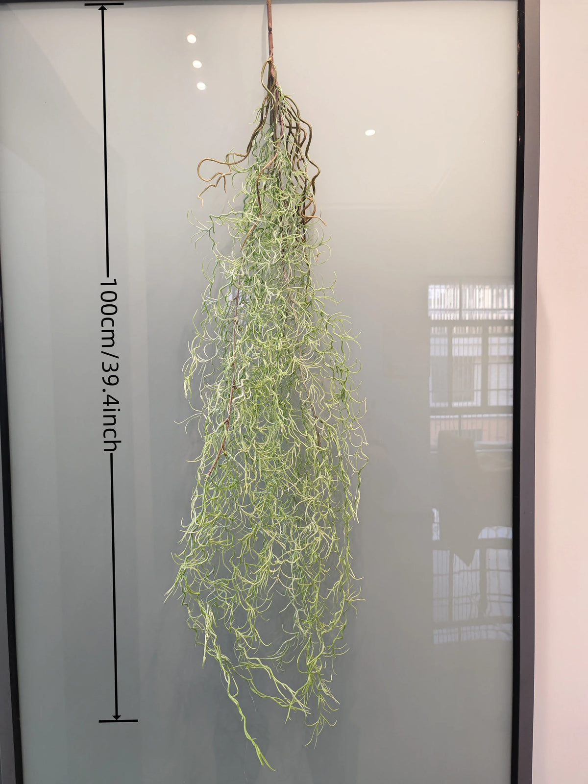 Artificial hanging ivy vine displayed vertically against a glass background with a measurement scale.